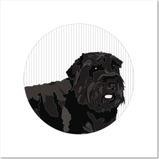 Animal Vignette: Bouvier des Flandres Posters and Art